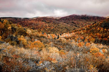 Mezarlık alanları sonbaharda Blue Ridge Parkway üzerinde
