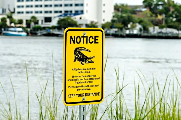Aviso de advertencia de cocodrilo cerca del agua — Foto de Stock