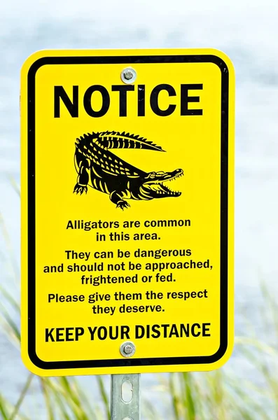 Предупреждающий знак аллигатора возле воды — стоковое фото