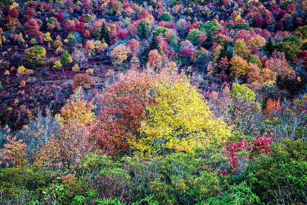 Kerkhof velden op de Blue Ridge Parkway in de herfst — Stockfoto