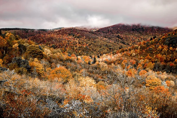 Kerkhof velden op de Blue Ridge Parkway in de herfst — Stockfoto