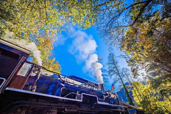 Great smoky mountains spoor weg herfst seizoen excursie — Stockfoto
