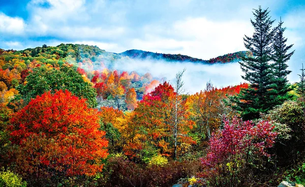 Stagione autunnale su parkway dorsale blu — Foto Stock