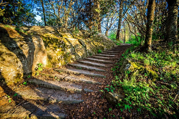 Blick auf entspannende Berglehrpfade — Stockfoto