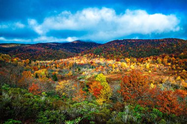 blue ridge parkway üzerinde sonbahar sezon 