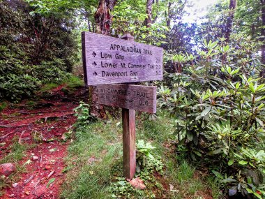 Büyük dumanlı dağlarda dehşet verici manzaralar.