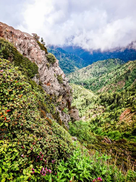 Vue depuis Charlies Bunion le long du sentier des Appalaches — Photo