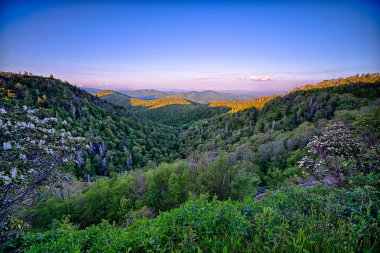 Blue Ridge Parkway yaz Appalaş Dağları günbatımı
