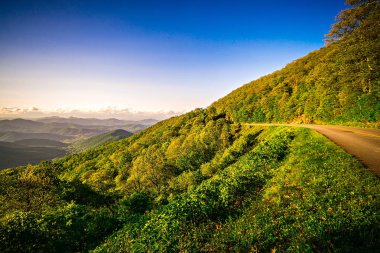 Kuzey Carolina büyük dumanlı dağ doğal peyzaj