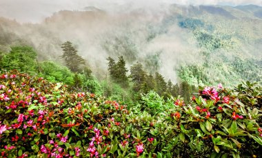charlies bunyon appalachian izi boyunca gelen görüntüleme