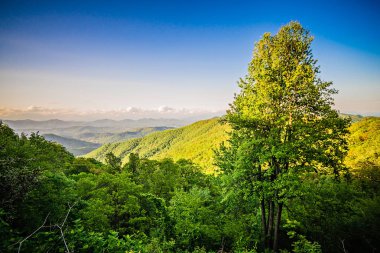 Kuzey Carolina büyük dumanlı dağ doğal peyzaj