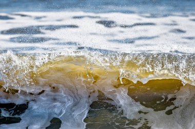 Güney carolina kıyı sahil sahneleri üzerinde kiawah Adası,