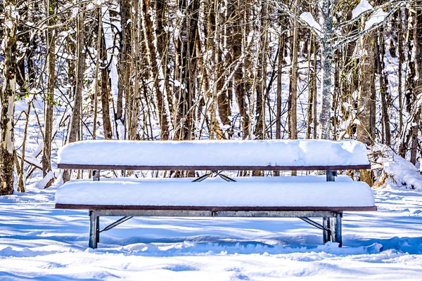 Mesa de picnic cubierta de nieve en el parque —  Fotos de Stock