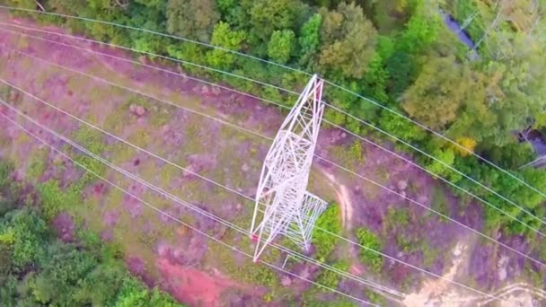 Líneas eléctricas en el bosque — Vídeos de Stock