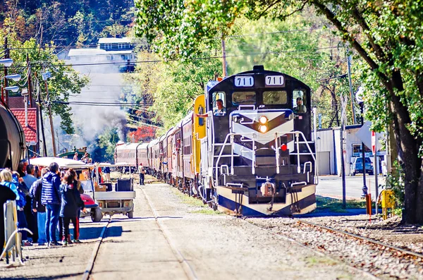binek otomobil büyük smoky Dağları demiryolu tren 