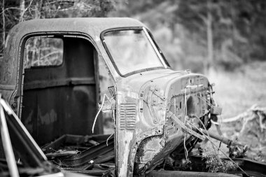eski paslı terk edilmiş otomobil ormanda