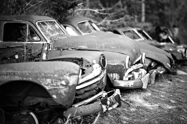 Старий іржавий покинутий автомобіль в лісі — стокове фото
