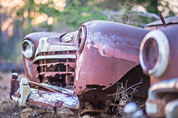 Régi rozsdás autó az erdőben elhagyott — Stock Fotó