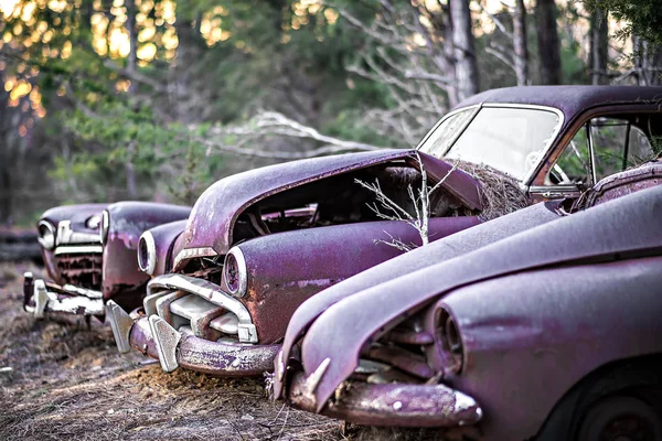 森の中の古いさびた放置自動車 — ストック写真