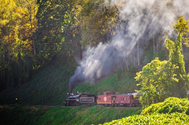 binek otomobil büyük smoky Dağları demiryolu tren 