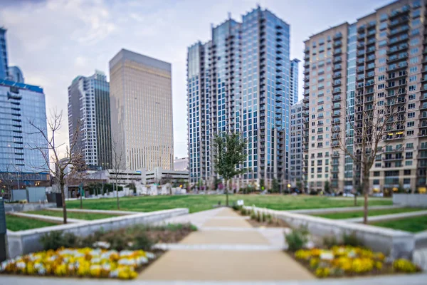 Primavera en Charlotte Carolina del Norte —  Fotos de Stock