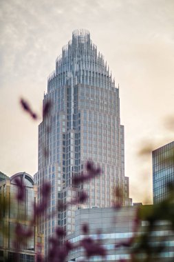 bahar zamanı charlotte north Carolina
