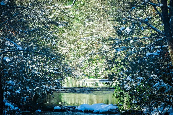 Paysage hivernal merveilleux le long de la rivière de montagne — Photo