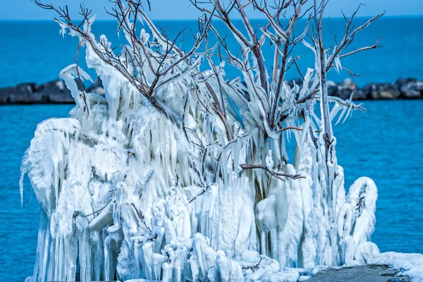 Congelado en el árbol de hielo a lo largo del lago erie ohio —  Fotos de Stock