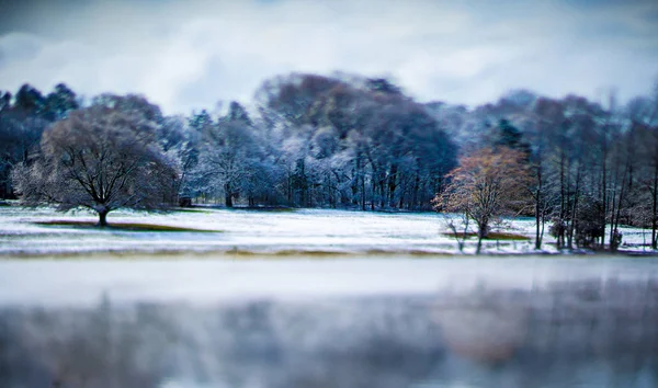 Escenas de invierno en tierras agrícolas en el sur del país — Foto de Stock