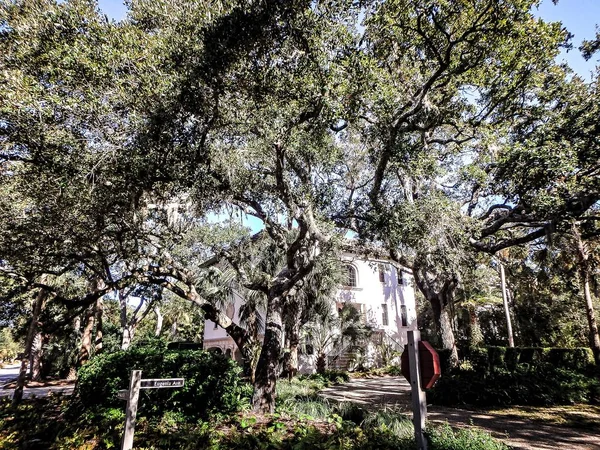 Escenas de verano alrededor de kiawah isla sur carolina — Foto de Stock