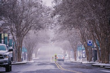 kış sezonu york Güney Carolina