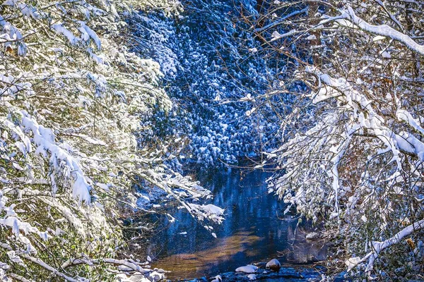 Зимний пейзаж вдоль горной реки — стоковое фото