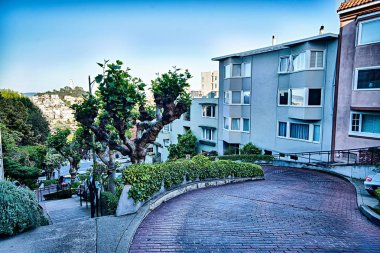 curvy sarma lombard street san francisco