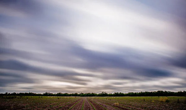 Jarní čas na farmě s dlouhou expozicí sky — Stock fotografie