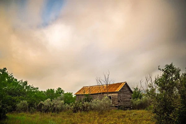 Cabaña de madera abandonada casa bosques profundos en texas — Foto de Stock