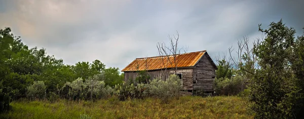 Terk edilmiş günlük kabin ev derin woods Texas — Stok fotoğraf