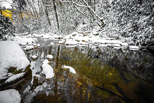 Südlicher Gebirgsbach im Winterwald — Stockfoto