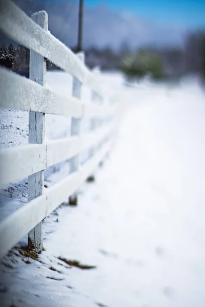 Abstracte winters tafereel op een boerderij — Stockfoto