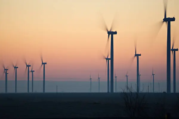 Wind turbines farm field at sunrise — Stock Photo, Image