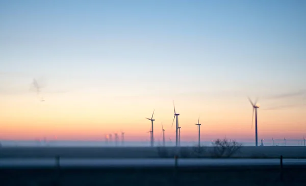 Wind turbines farm field at sunrise — Stock Photo, Image