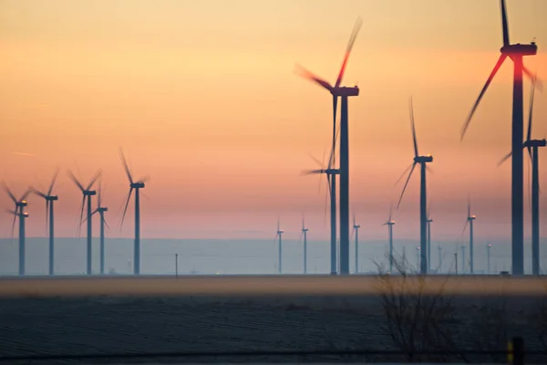 Wind turbines farm field at sunrise — Stock Photo, Image