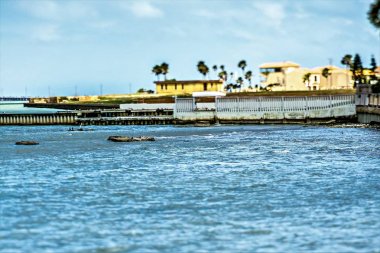 Gündüz, Güney padre Adası Sahili bahar