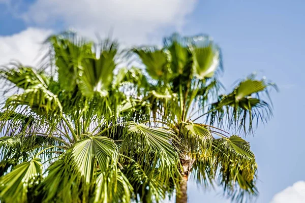 Costa sur de la isla padre durante el día en primavera —  Fotos de Stock