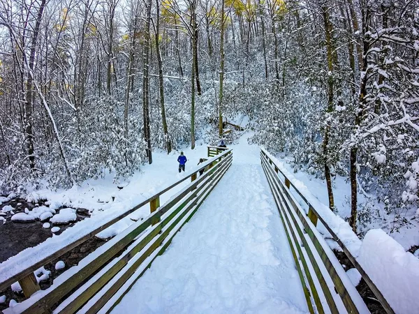 Winterszenen im South Mountain State Park in North Carolina — Stockfoto