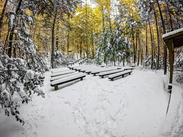 Зимние сцены в парке South Mountain State Park в Северной Каролине — стоковое фото