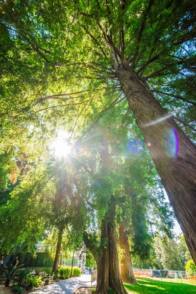 Sacramento w Kalifornii widokiem panoramę miasta i ulicy — Zdjęcie stockowe