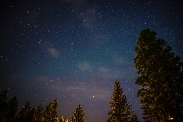 küçük ve Polaris ile gece gökyüzü