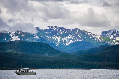 çamur defne Alaska humpack balina avcılık 