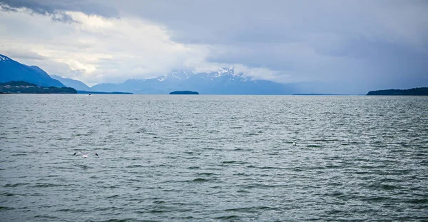 Alaska - Destino de viaje - Aventura de avistamiento de ballenas — Foto de Stock
