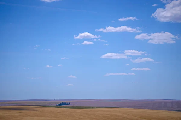 동부 워싱턴 주 풍경과 맑은 날에 목초지 — 스톡 사진